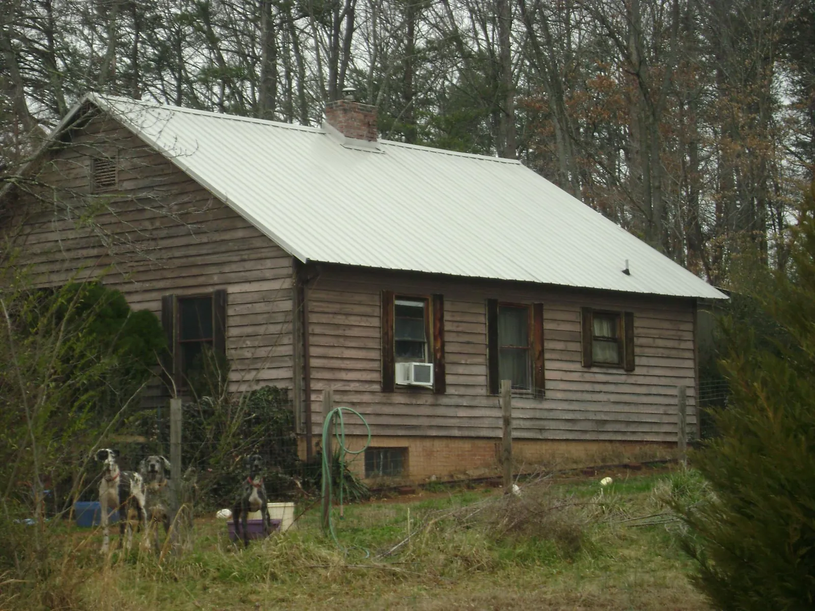 White metal roof on an old wood sided farmhouse, from a Asphalt Shingle Roof Repair job in Rockvale